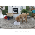 non-slip pet food bowl with little paw design
